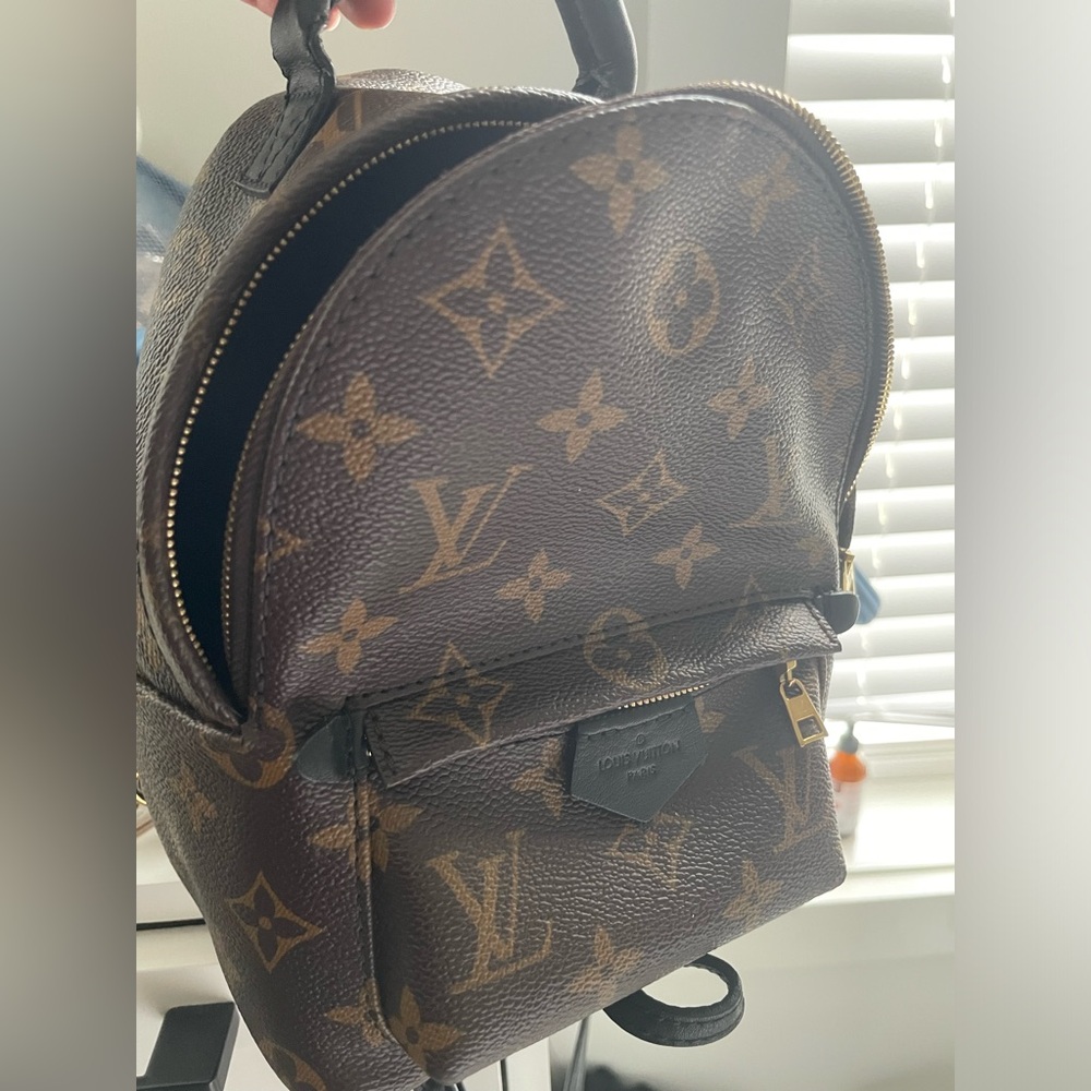 Louis Vuitton Palm Springs Bag